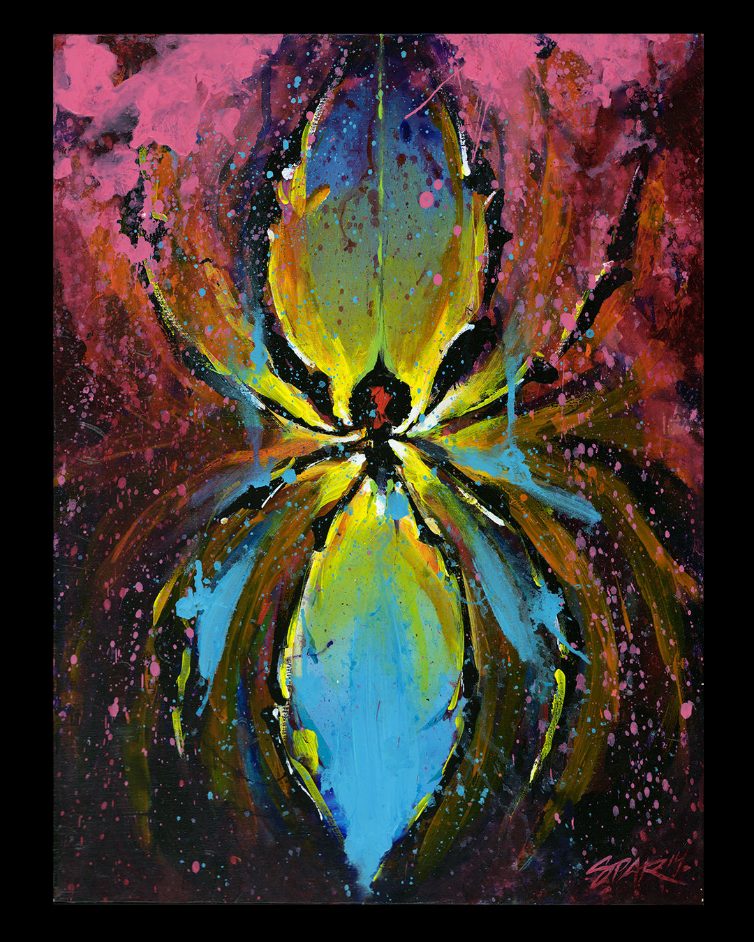 Itsy Bitsy Spyder 2014