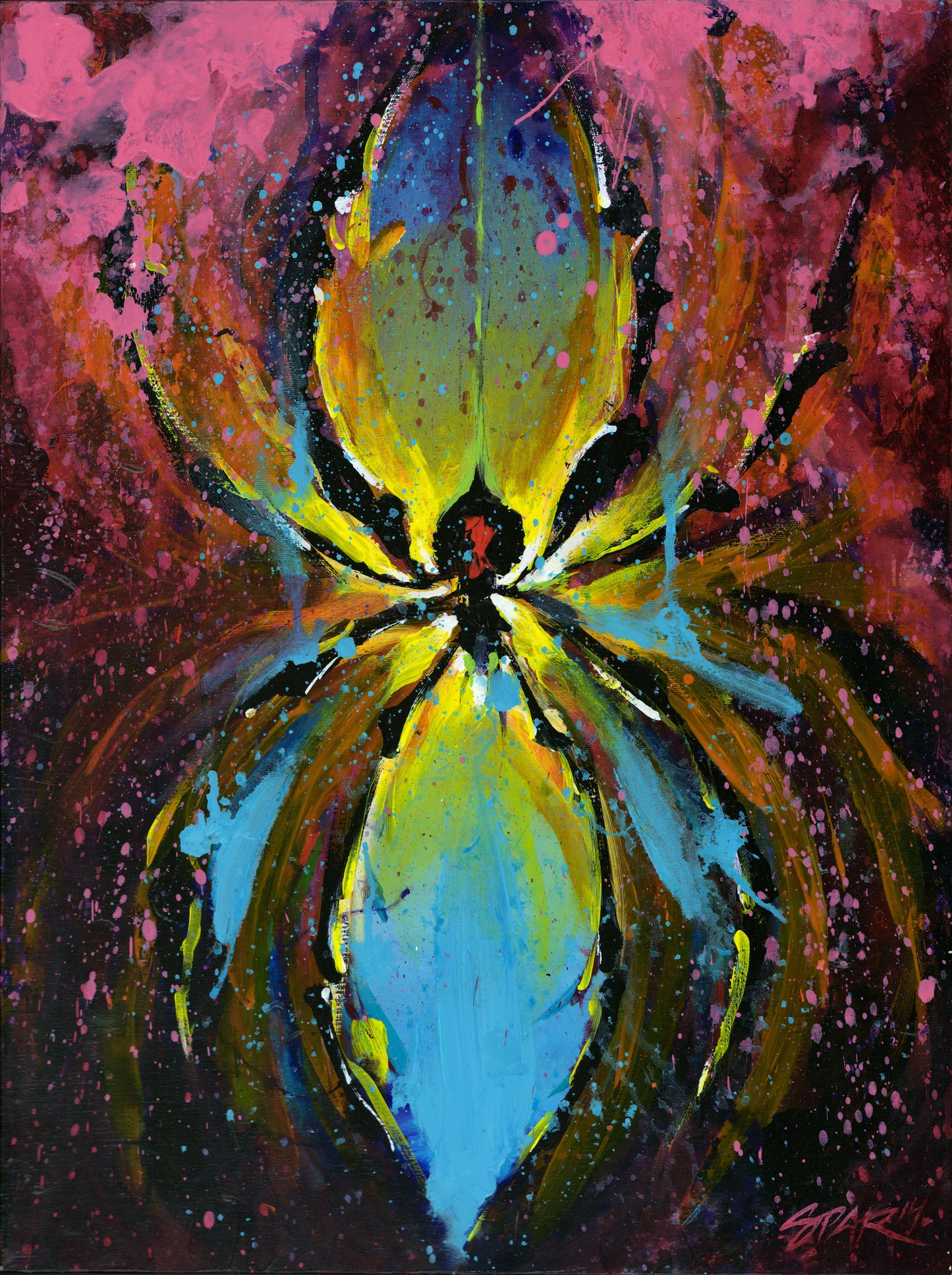 Itsy Bitsy Spyder 2014