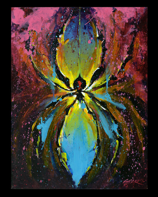 Itsy Bitsy Spyder 2014